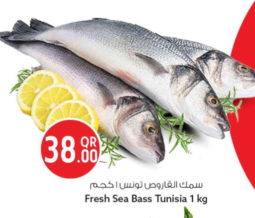available at سفاري هايبر ماركت in قطر - الريان