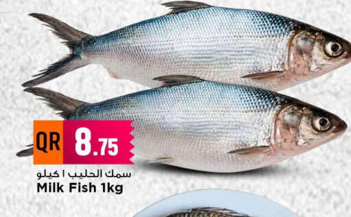 available at مرزا هايبرماركت in قطر - الشحانية