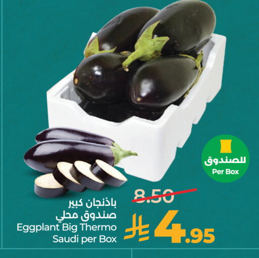Eggplant from Saudi Arabia available at لولو هايبرماركت in مملكة العربية السعودية, السعودية, سعودية - الرياض