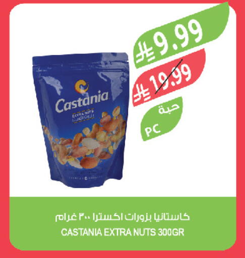 available at المزرعة in مملكة العربية السعودية, السعودية, سعودية - تبوك