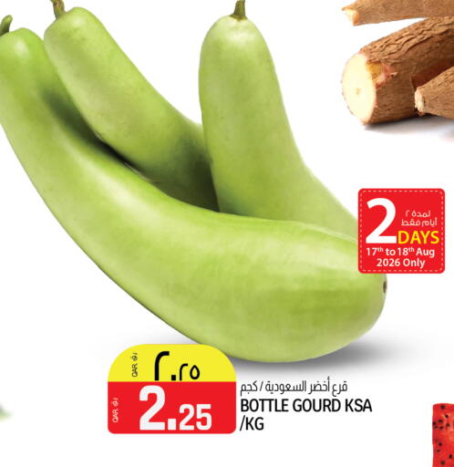 available at السعودية in قطر - الريان