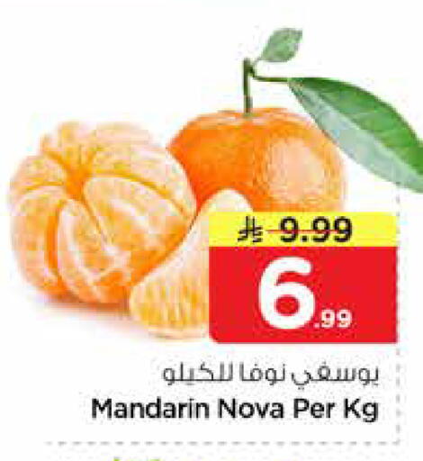 Mandarin available at نستو in مملكة العربية السعودية, السعودية, سعودية - الخرج