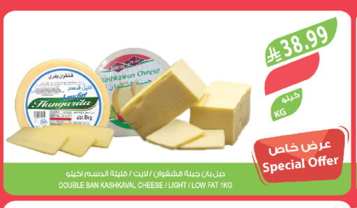 available at المزرعة in مملكة العربية السعودية, السعودية, سعودية - تبوك