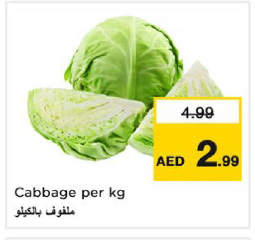 Cabbage available at نستو هايبرماركت in الإمارات العربية المتحدة , الامارات - رَأْس ٱلْخَيْمَة