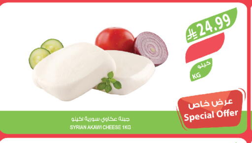 available at المزرعة in مملكة العربية السعودية, السعودية, سعودية - تبوك