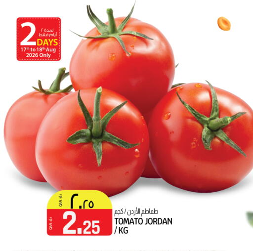 Tomato from Jordan available at السعودية in قطر - الريان