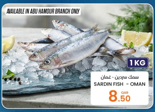 available at Al Baladi Al Yawm in Qatar - Al Wakra