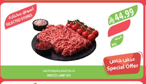 available at المزرعة in مملكة العربية السعودية, السعودية, سعودية - تبوك
