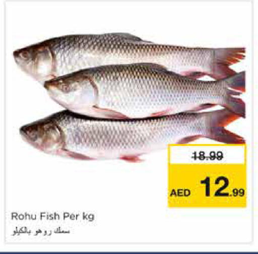 available at نستو هايبرماركت in الإمارات العربية المتحدة , الامارات - دبي