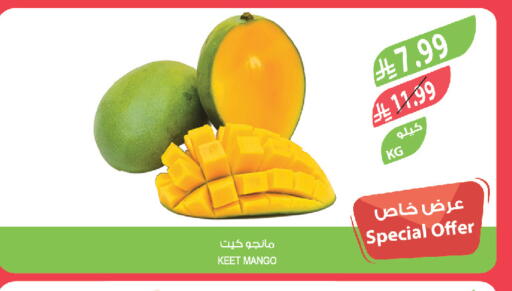 Mango available at المزرعة in مملكة العربية السعودية, السعودية, سعودية - تبوك