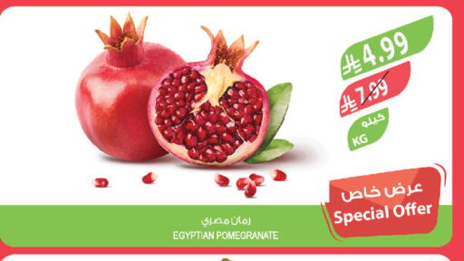 Pomegranate from Egypt available at المزرعة in مملكة العربية السعودية, السعودية, سعودية - تبوك