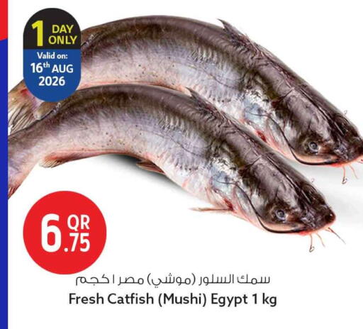 available at Safari Hypermarket in Qatar - Al Rayyan