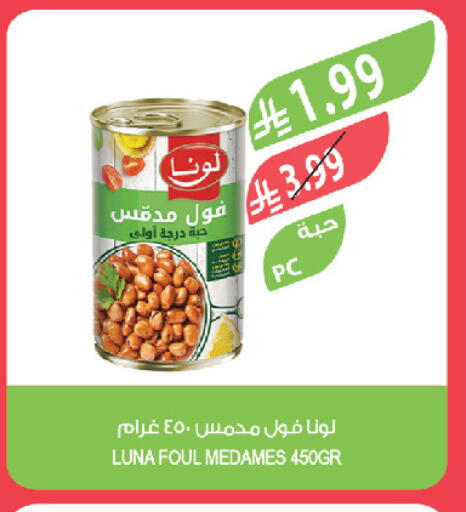available at المزرعة in مملكة العربية السعودية, السعودية, سعودية - تبوك