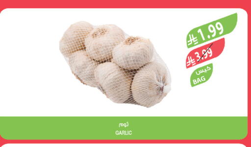 Garlic available at المزرعة in مملكة العربية السعودية, السعودية, سعودية - تبوك