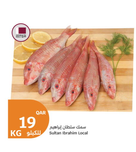 available at سيتي هايبرماركت in قطر - الريان