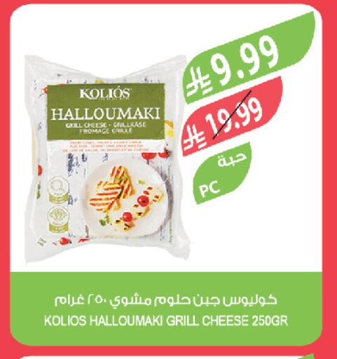 available at المزرعة in مملكة العربية السعودية, السعودية, سعودية - تبوك