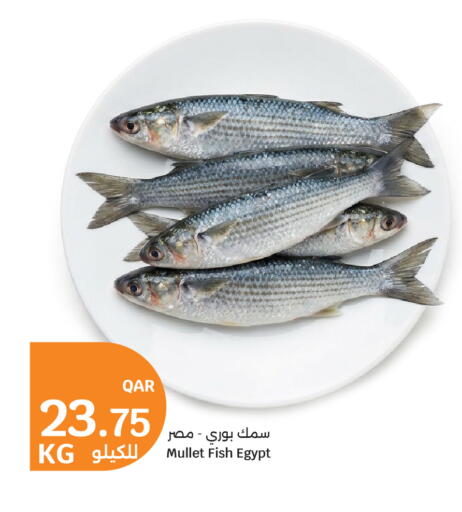 available at City Hypermarket in Qatar - Al Wakra