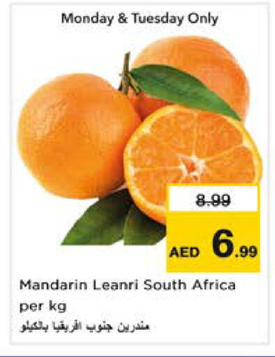 Mandarin from South Africa available at نستو هايبرماركت in الإمارات العربية المتحدة , الامارات - دبي