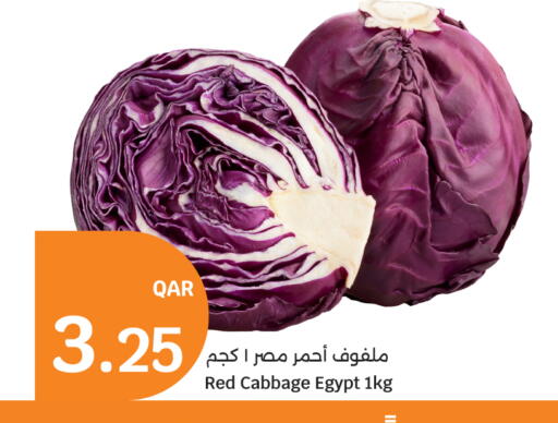 Cabbage from Egypt available at سيتي هايبرماركت in قطر - الريان