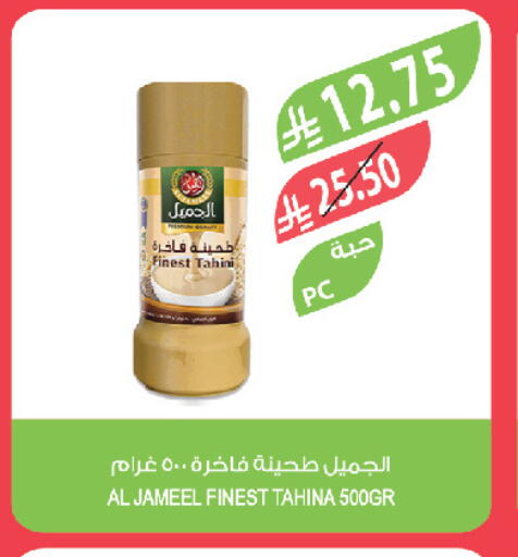 available at المزرعة in مملكة العربية السعودية, السعودية, سعودية - تبوك