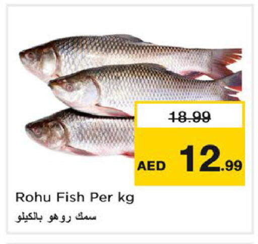 available at Nesto Hypermarket in UAE - Ras al Khaimah