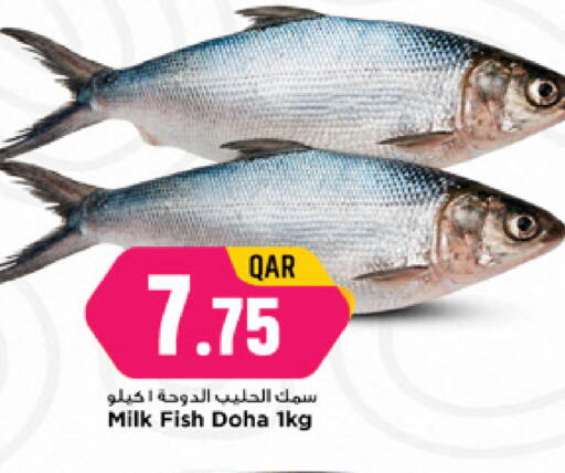 available at Marza Hypermarket in Qatar - Al Rayyan