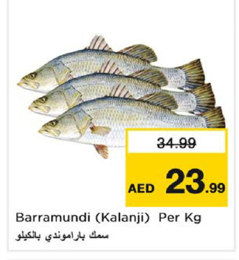 available at نستو هايبرماركت in الإمارات العربية المتحدة , الامارات - رَأْس ٱلْخَيْمَة