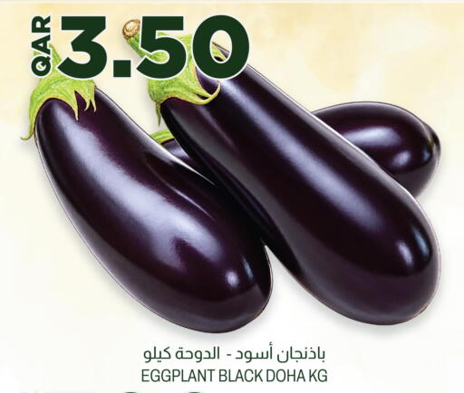 Eggplant from Qatar available at Aswaq Al Malaki Fresh in Qatar - Al Rayyan