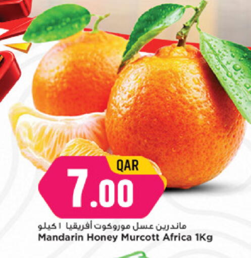 Mandarin available at مرزا هايبرماركت in قطر - الشحانية