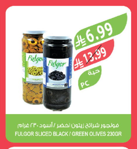 available at المزرعة in مملكة العربية السعودية, السعودية, سعودية - تبوك
