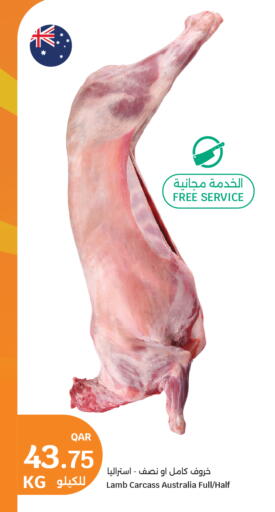 available at City Hypermarket in Qatar - Doha