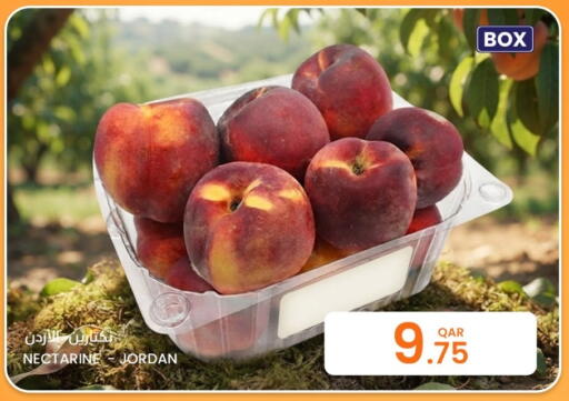 Nectarine from Jordan available at Al Baladi Al Yawm in Qatar - Al Wakra