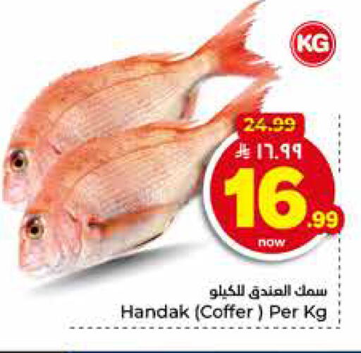 available at هايبر الوفاء in مملكة العربية السعودية, السعودية, سعودية - الخرج