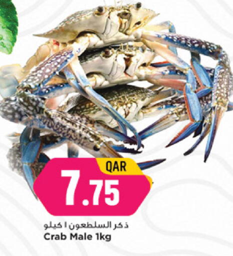 available at مرزا هايبرماركت in قطر - الشحانية