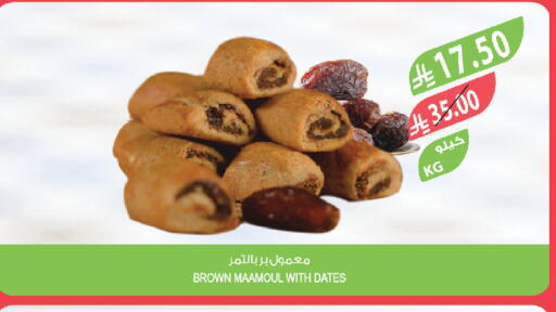 available at المزرعة in مملكة العربية السعودية, السعودية, سعودية - تبوك