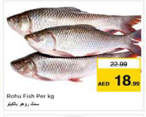 available at نستو هايبرماركت in الإمارات العربية المتحدة , الامارات - دبي