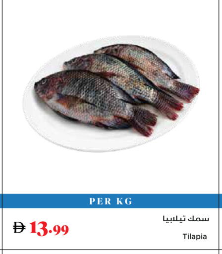 available at Trolleys Supermarket in UAE - Dubai