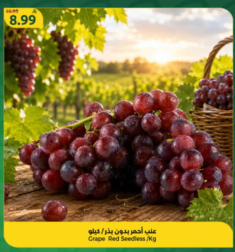 available at دانا مارت in مملكة العربية السعودية, السعودية, سعودية - الرياض