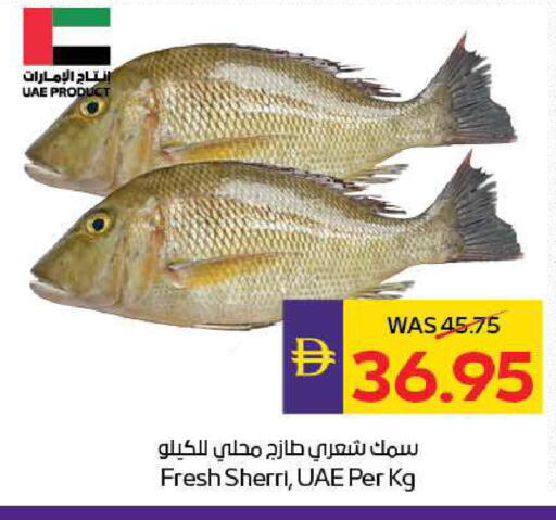 available at ADCOOP in UAE - Abu Dhabi