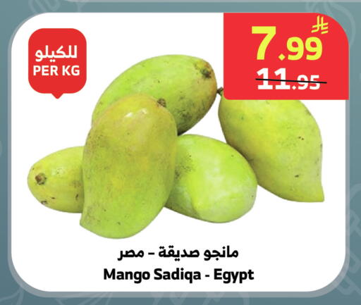 Mango from Egypt available at الراية in مملكة العربية السعودية, السعودية, سعودية - جدة
