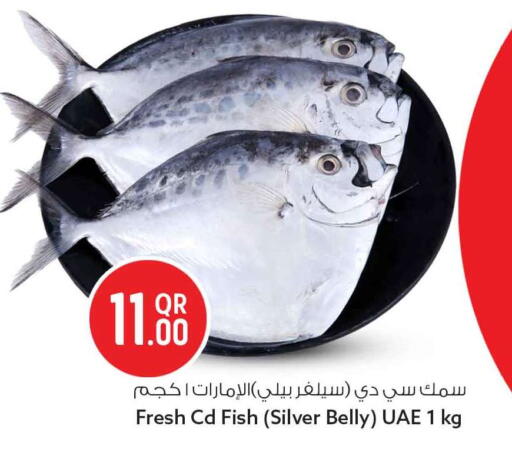 available at Safari Hypermarket in Qatar - Doha