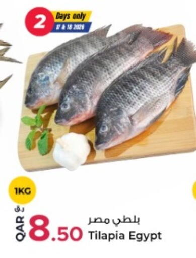 available at روابي هايبرماركت in قطر - أم صلال