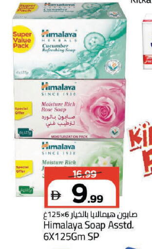 Cucumber available at Mark & Save in UAE - Dubai