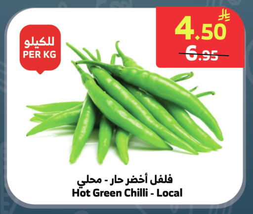 Green chilli available at الراية in مملكة العربية السعودية, السعودية, سعودية - المدينة المنورة