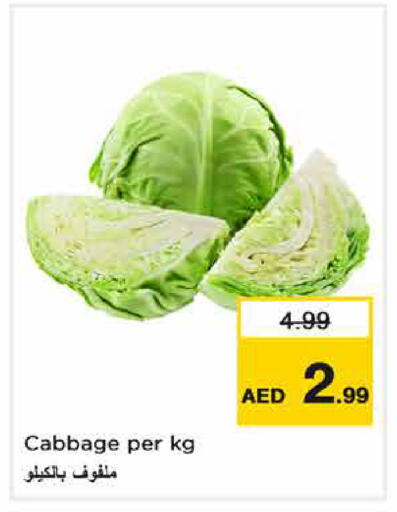 Cabbage available at نستو هايبرماركت in الإمارات العربية المتحدة , الامارات - دبي