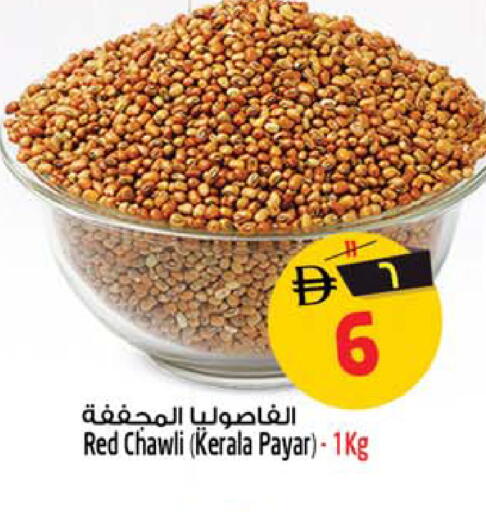 available at سفاري هايبر ماركت in الإمارات العربية المتحدة , الامارات - رَأْس ٱلْخَيْمَة