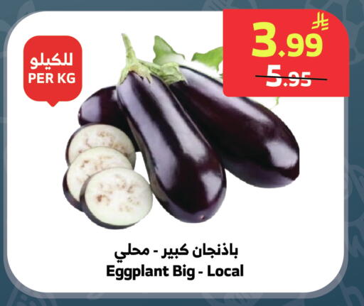 Eggplant available at الراية in مملكة العربية السعودية, السعودية, سعودية - المدينة المنورة