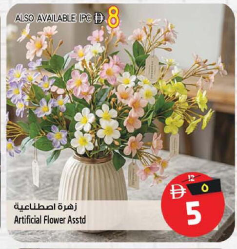 available at سفاري هايبرماركت in الإمارات العربية المتحدة , الامارات - الشارقة / عجمان