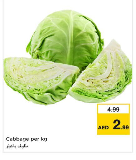 Cabbage available at نستو هايبرماركت in الإمارات العربية المتحدة , الامارات - دبي