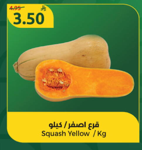 Squash available at Dana Mart in KSA, Saudi Arabia, Saudi - Riyadh